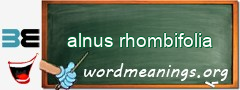 WordMeaning blackboard for alnus rhombifolia